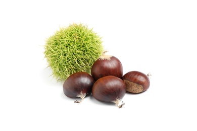 Photo of Fresh sweet edible chestnuts on white background