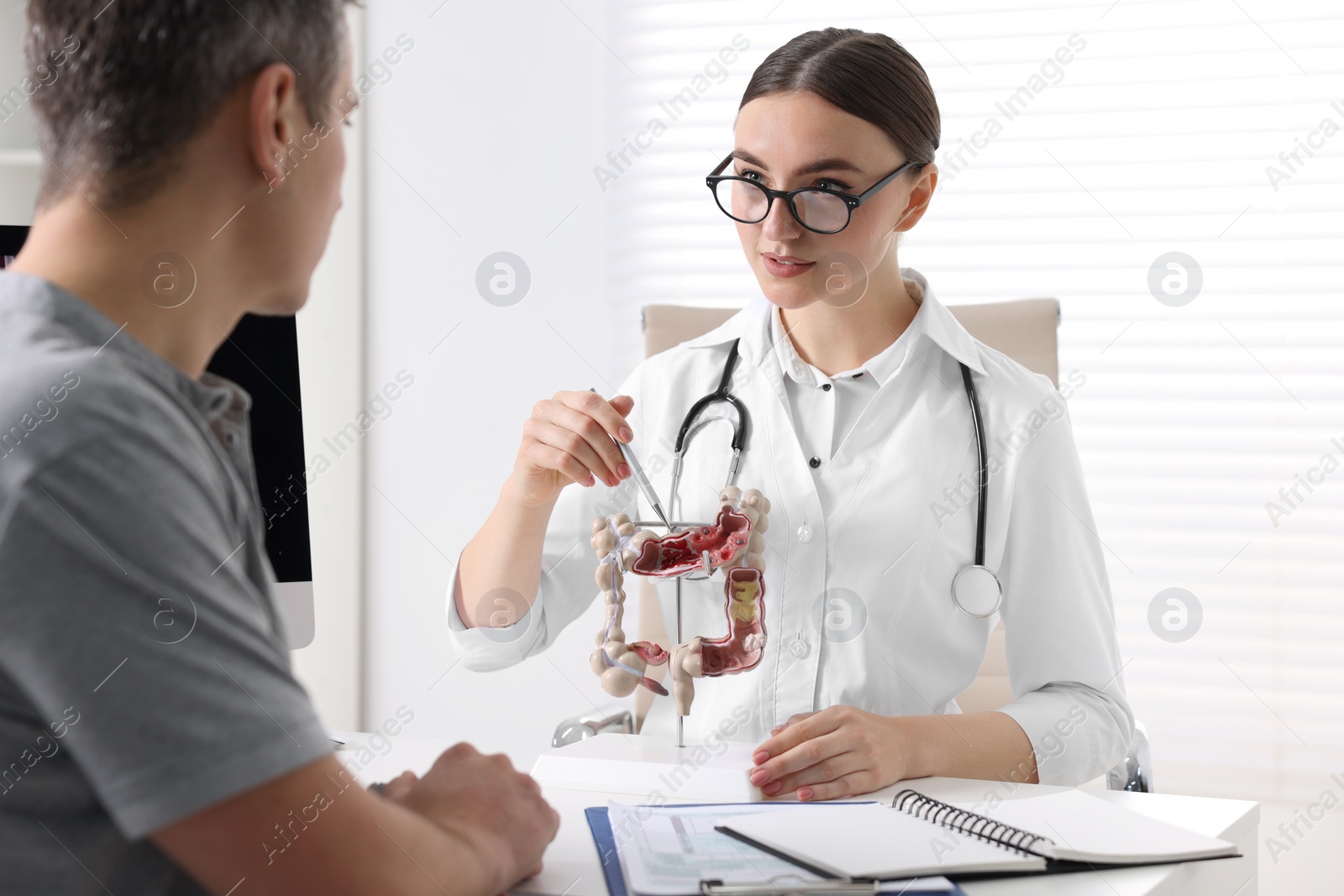 Photo of Gastroenterologist with anatomical model of large intestine consulting patient at table in clinic