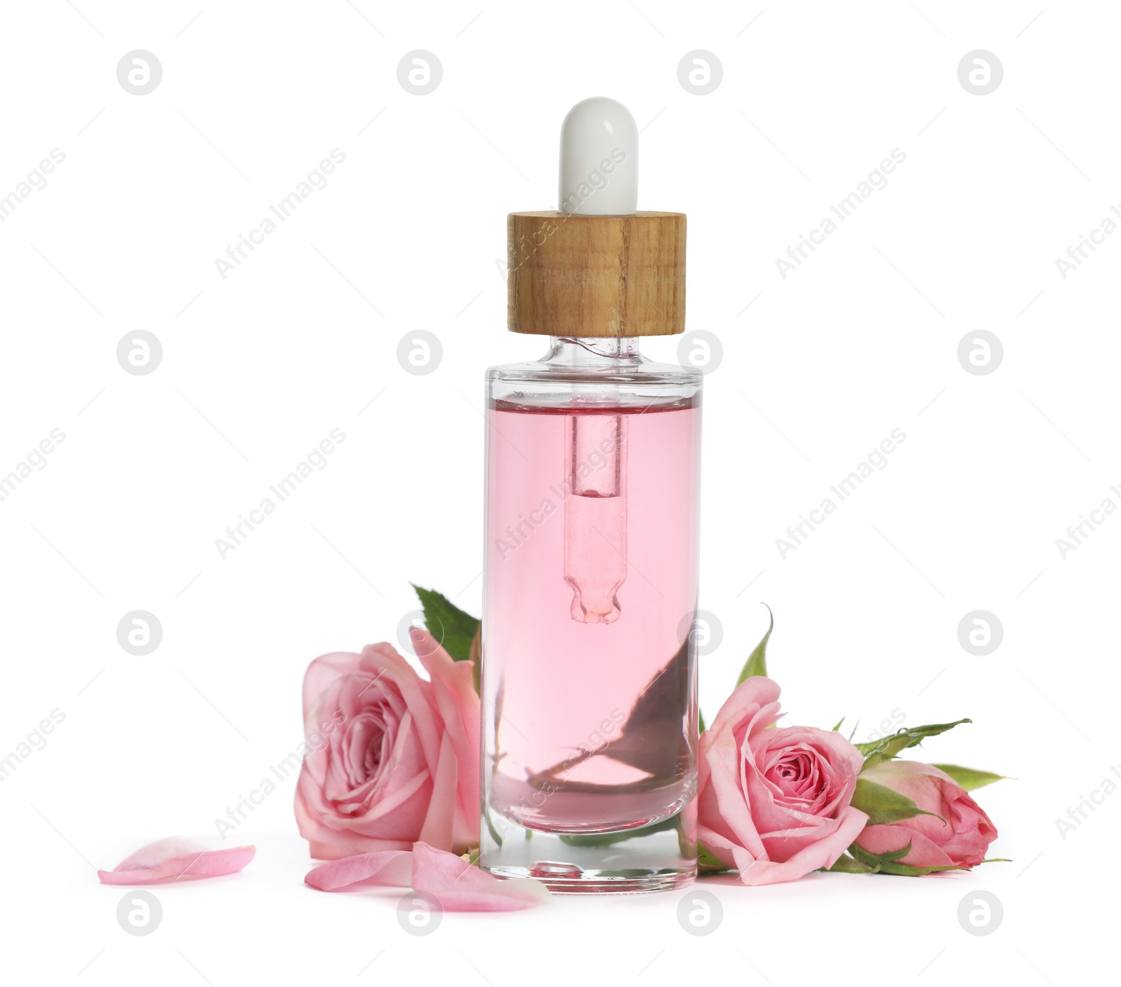 Photo of Bottle of essential rose oil and flowers on white background