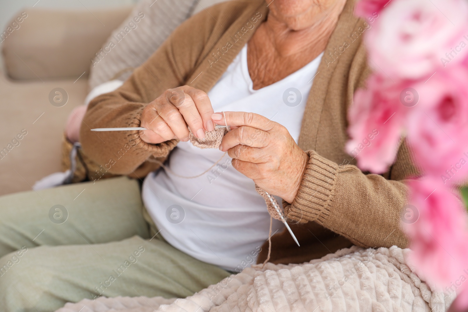 Photo of Elderly woman knitting at home, closeup. Creative hobby