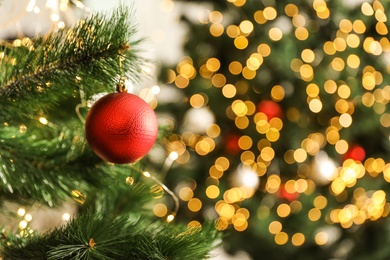 Photo of Beautiful holiday bauble hanging on Christmas tree against blurred lights