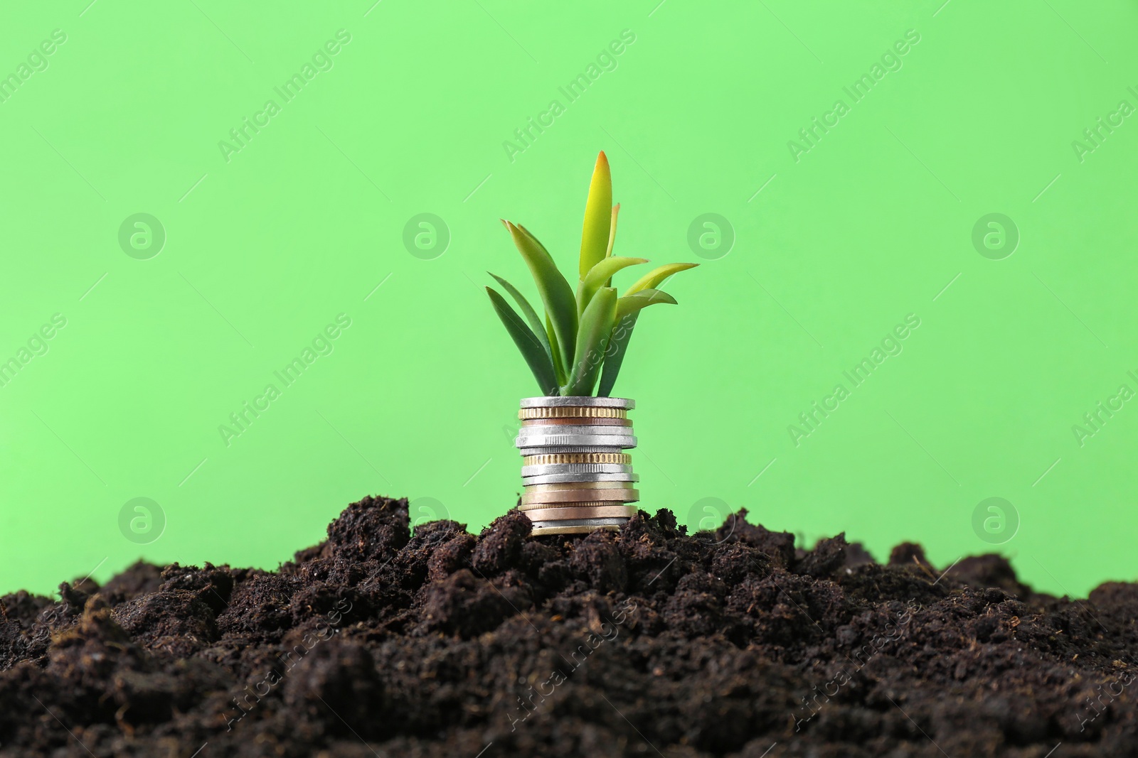 Photo of Stack of coins and green plant on soil against blurred background. Profit concept