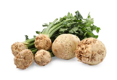 Fresh raw celery roots with stalks isolated on white