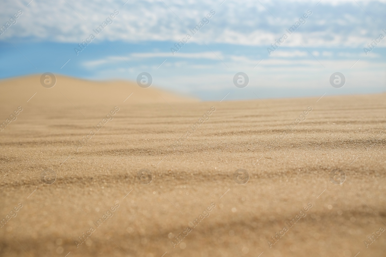 Photo of Dry sand in desert on sunny day