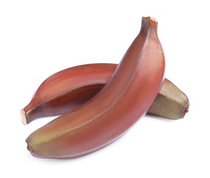 Photo of Tasty red baby bananas on white background