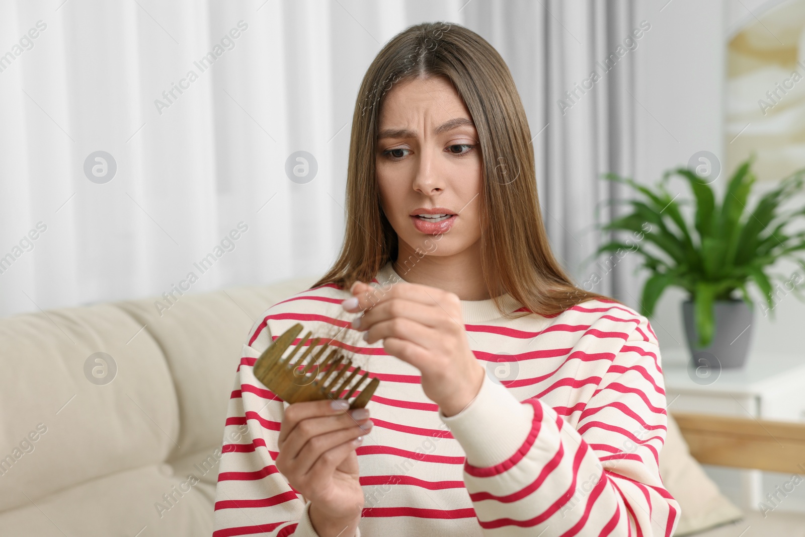 Photo of Upset woman untangling her lost hair from comb at home. Alopecia problem