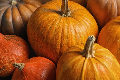 Photo of Many orange pumpkins as background, closeup. Autumn holidays