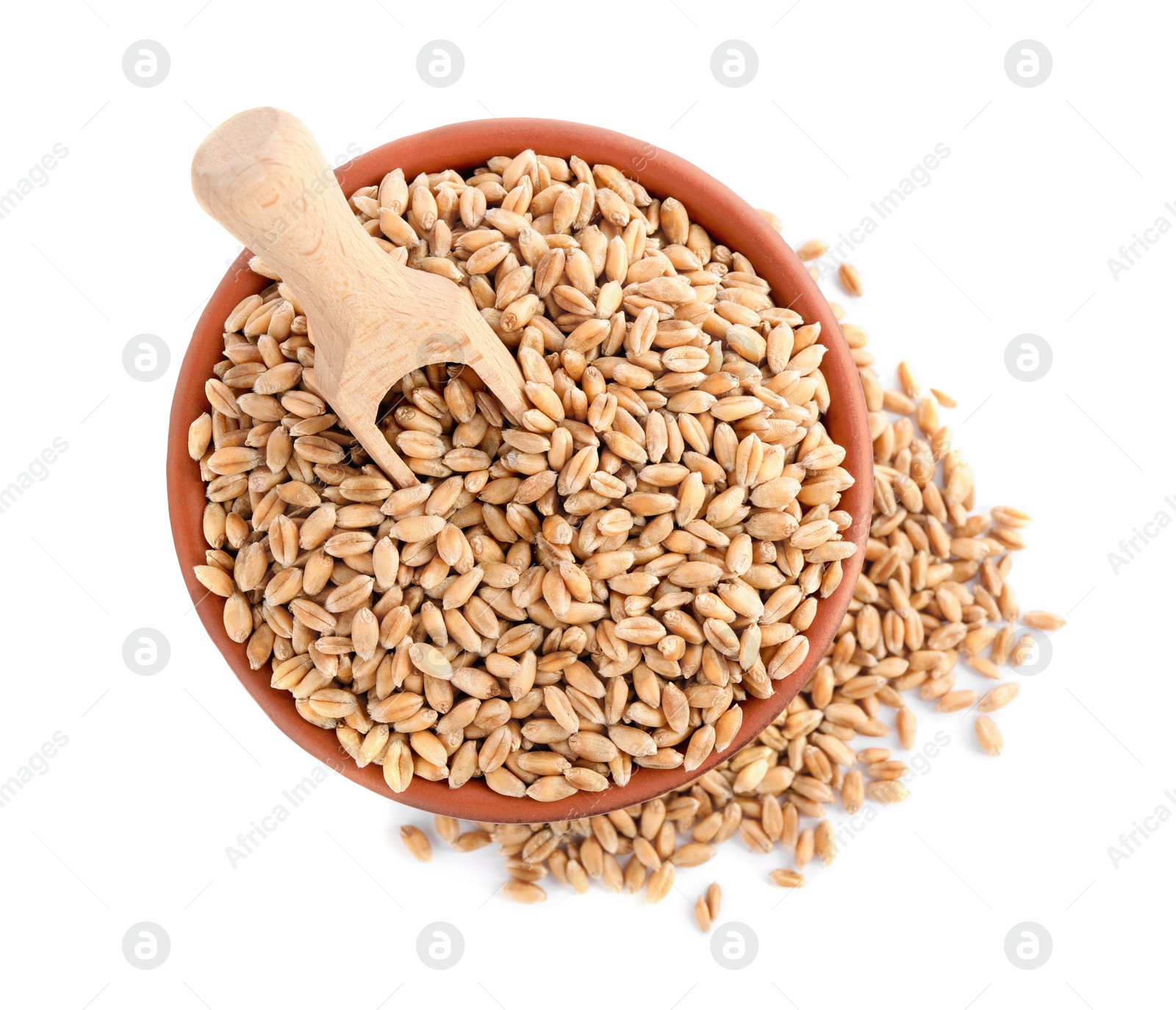 Photo of Bowl with wheat grains and wooden scoop on white background, top view