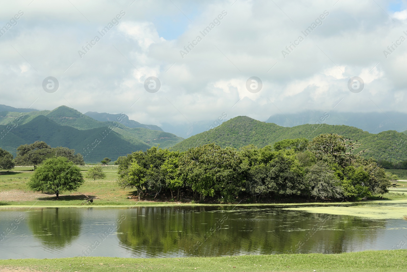 Photo of Picturesque view of mountains and green meadow with lake