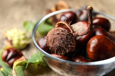 Photo of Horse chestnuts in bowl on table, closeup