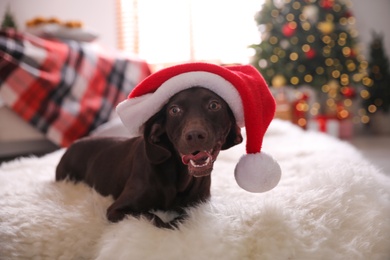 Photo of Cute dog wearing Santa hat in room decorated for Christmas