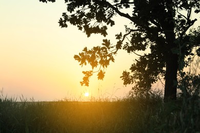 Photo of Picturesque view of countryside sunrise in morning