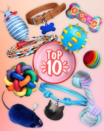 Image of Top ten list of best pet products on orange pink gradient background