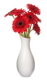 Photo of Bouquet of beautiful red gerbera flowers in ceramic vase on white background