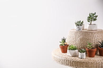 Photo of Beautiful succulents on wicker stand, space for text. Interior decoration
