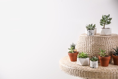 Beautiful succulents on wicker stand, space for text. Interior decoration