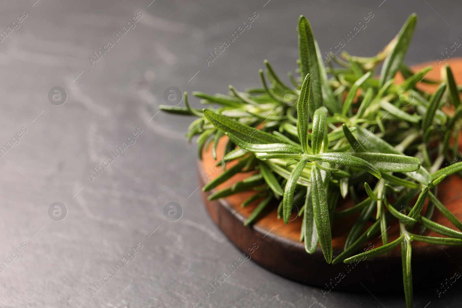 Photo of Fresh green rosemary on grey table, closeup. Space for text