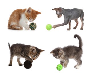 Image of Adorable kittens playing with toys on white background, collage. Lovely pet 