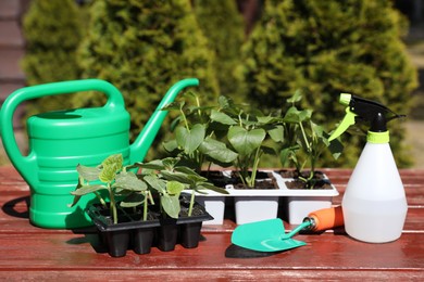 Photo of Seedlings growing in plastic containers, watering can, spray bottle and trowel on wooden table outdoors