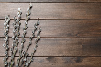 Photo of Beautiful pussy willow branches on wooden background, flat lay. Space for text