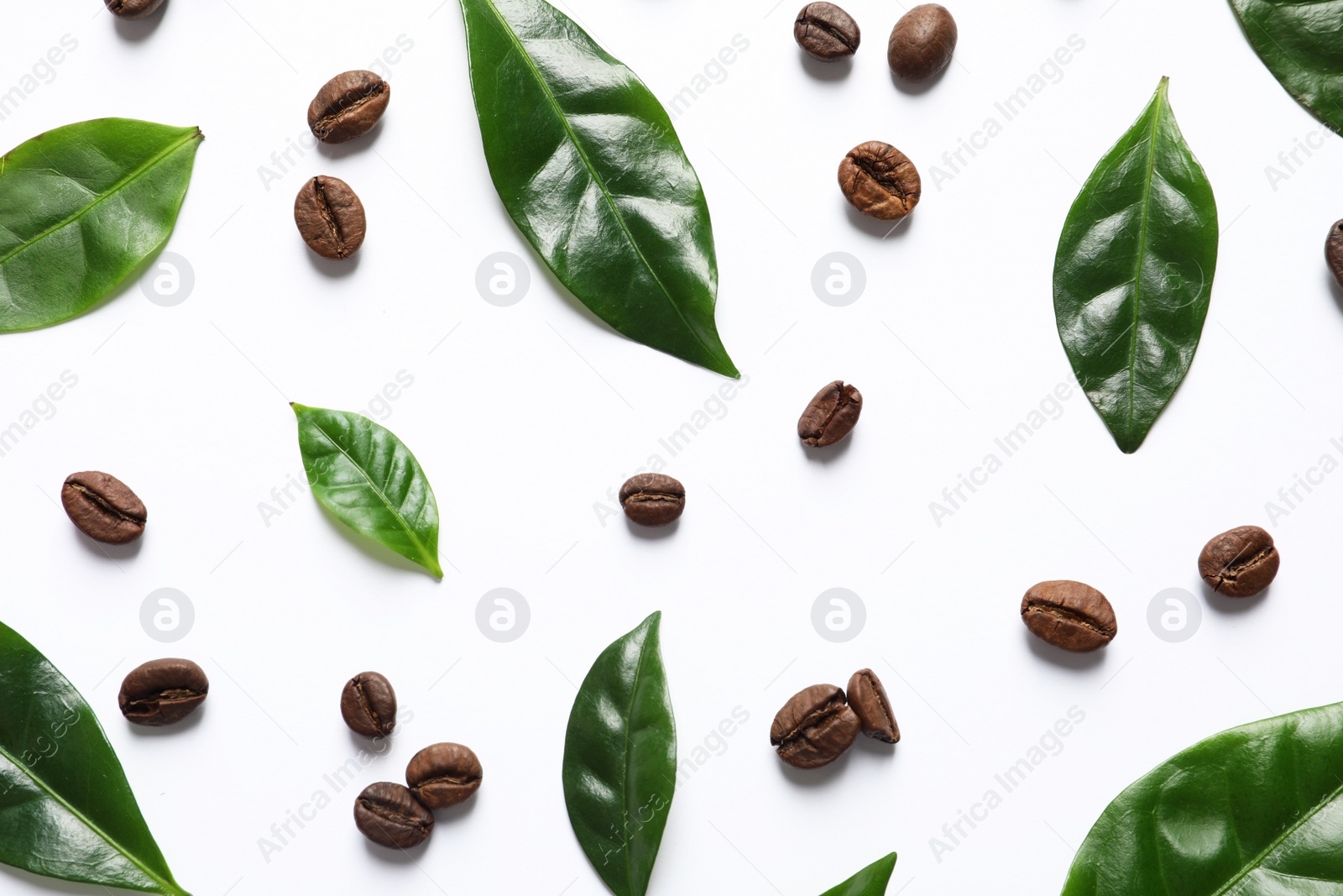 Photo of Fresh green coffee leaves and beans on white background, top view