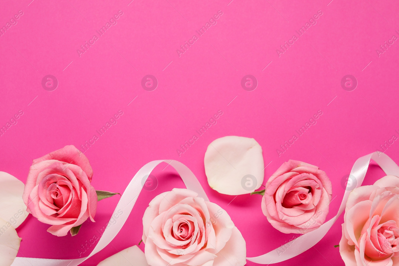 Photo of Beautiful roses, ribbon and petals on pink background, flat lay. Space for text