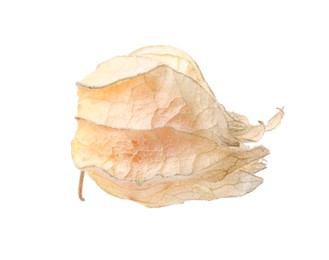 Ripe physalis fruit with calyx isolated on white