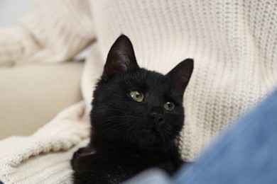 Owner with her adorable black cat, closeup