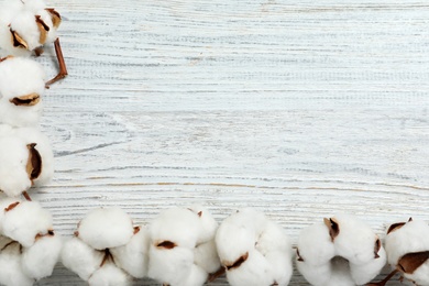 Photo of Flat lay composition with cotton flowers on white wooden background. Space for text