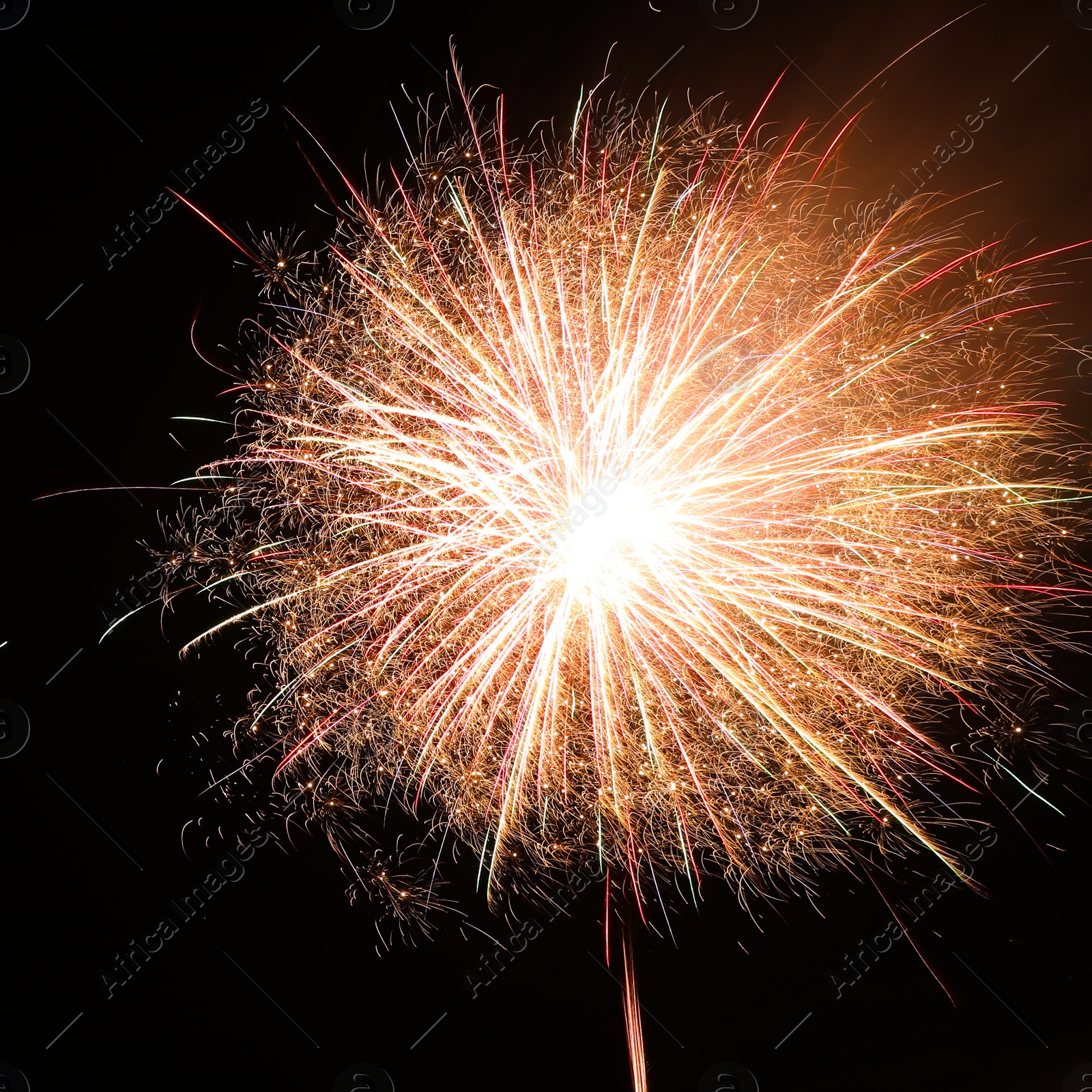 Photo of Beautiful bright firework lighting up night sky