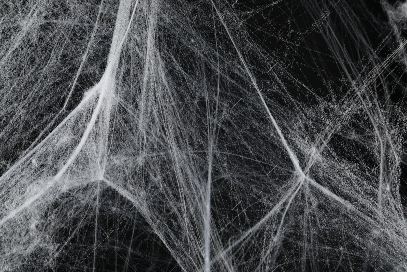 Photo of Creepy white cobweb on black background, closeup