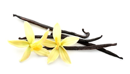 Aromatic vanilla sticks and flowers on white background