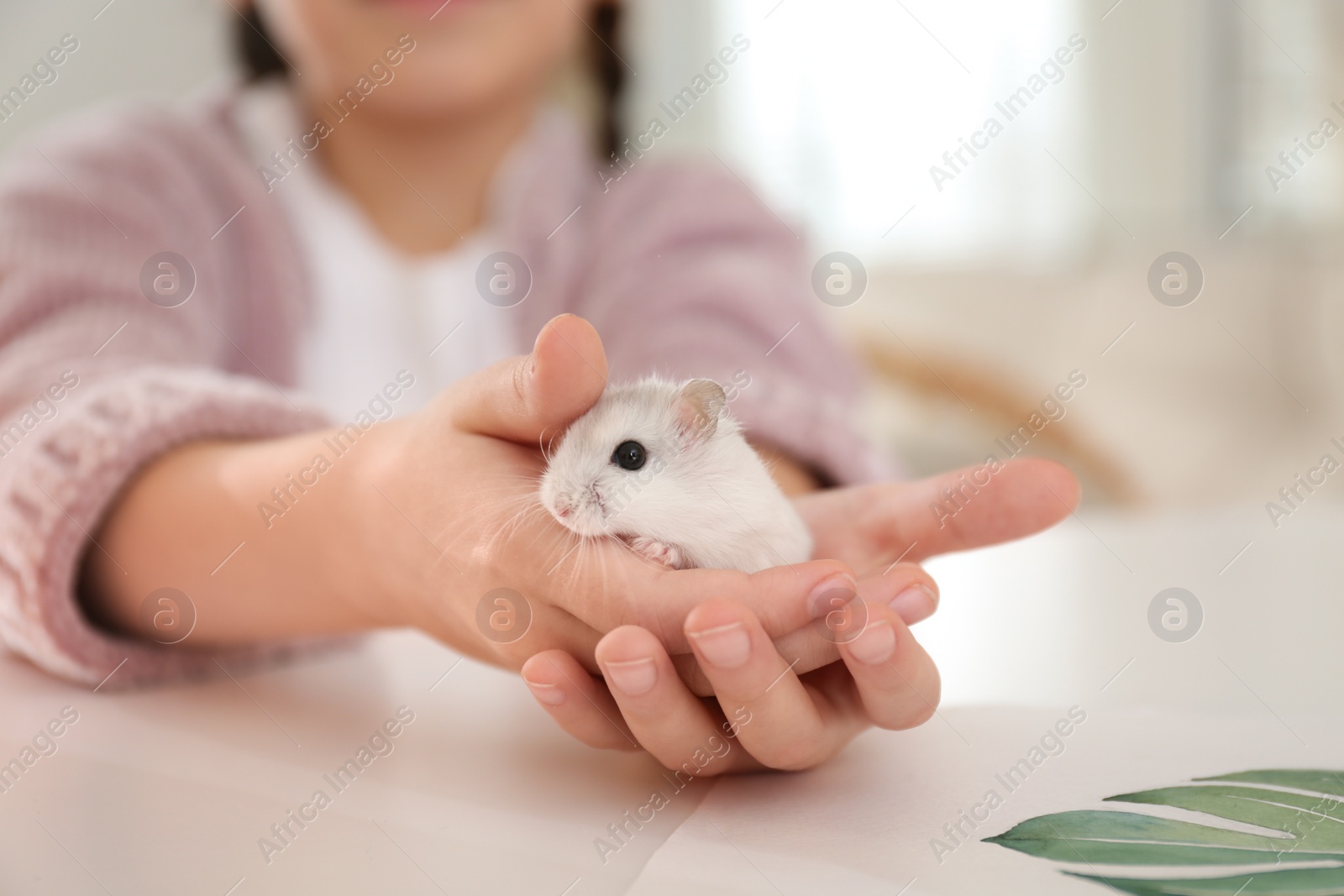 Photo of Little girl with cute hamster at table indoors, closeup