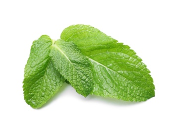 Photo of Three wet green leaves isolated on white