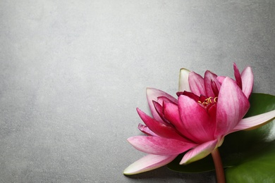 Beautiful pink lotus flower with green leaf on grey table, flat lay. Space for text
