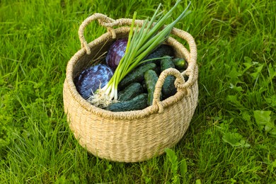 Tasty vegetables in wicker basket on green grass