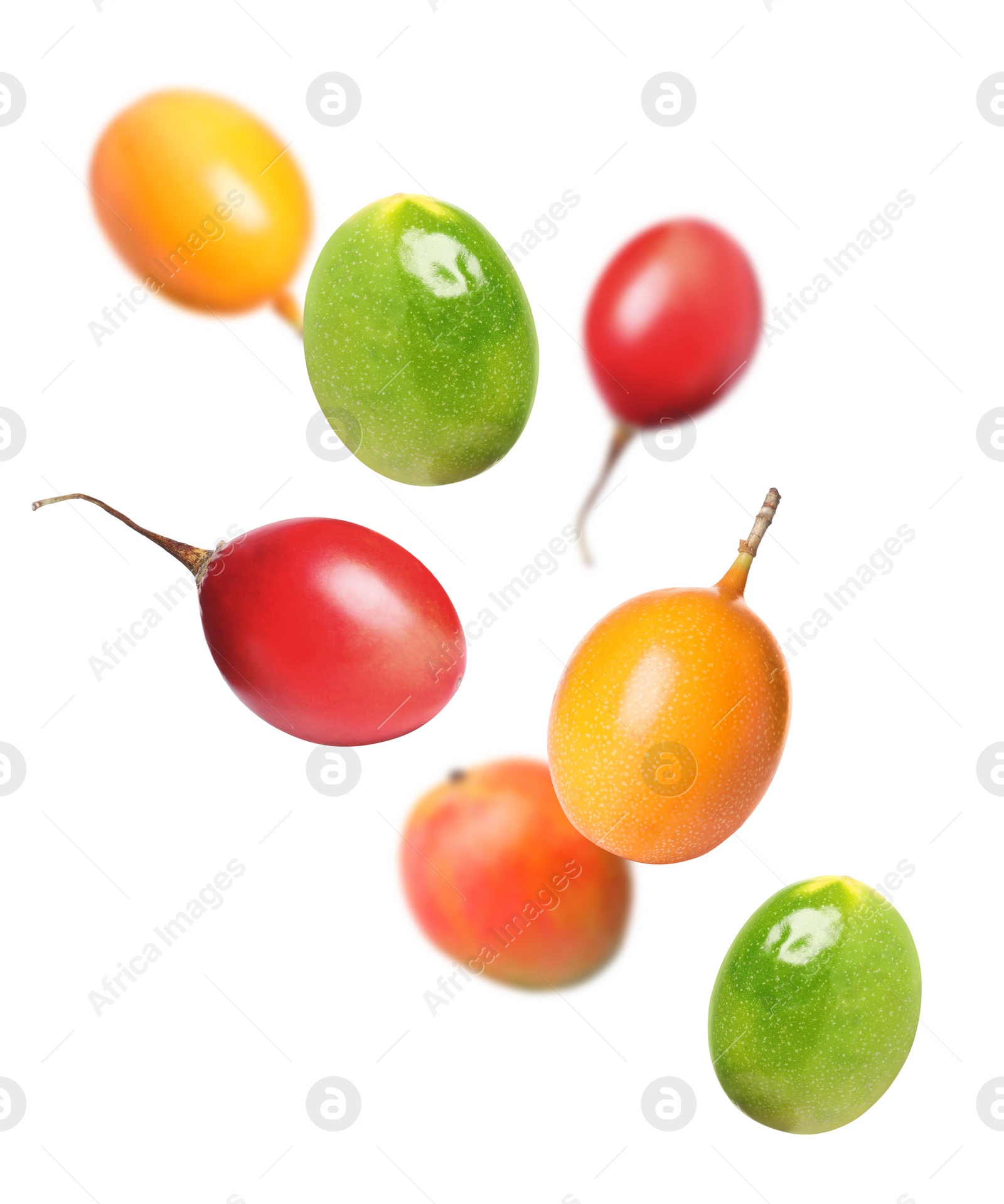 Image of Different tasty exotic fruits flying on white background