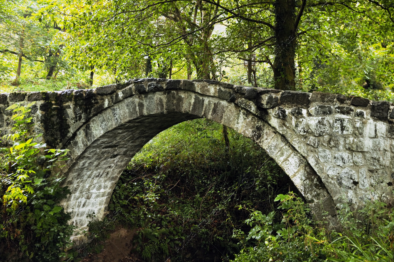 Photo of Beautiful old stone bridge and green trees in park