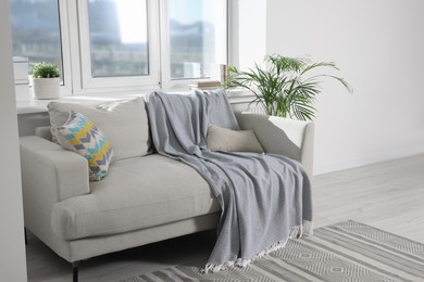 Photo of Cosy living room with sofa and plant near window. Interior design