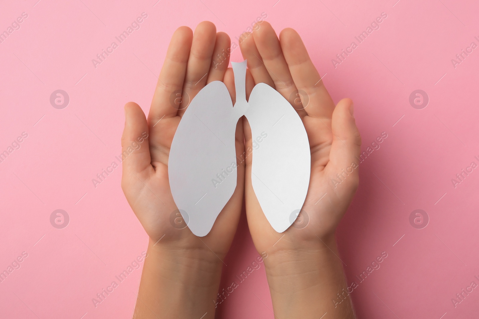 Photo of Child holding paper human lungs on pink background, top view