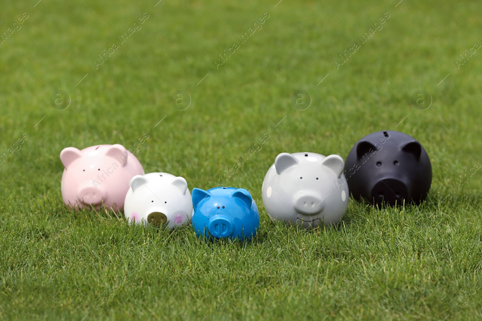 Photo of Different piggy banks on green grass outdoors