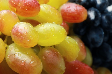 Fresh ripe juicy grapes with water drops as background, closeup