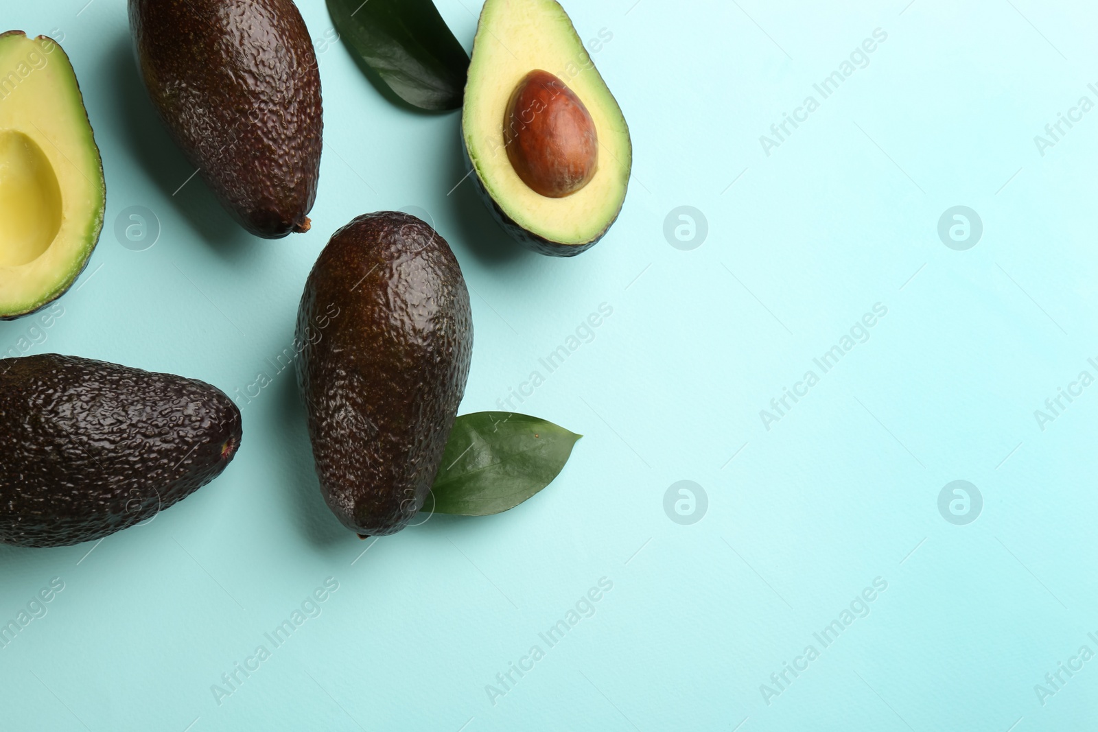 Photo of Whole and cut ripe avocadoes with green leaves on light blue background, flat lay. Space for text
