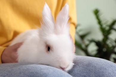 Photo of Woman with fluffy white rabbit, closeup. Cute pet