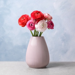 Photo of Beautiful fresh ranunculus flowers in vase on white table near color wall