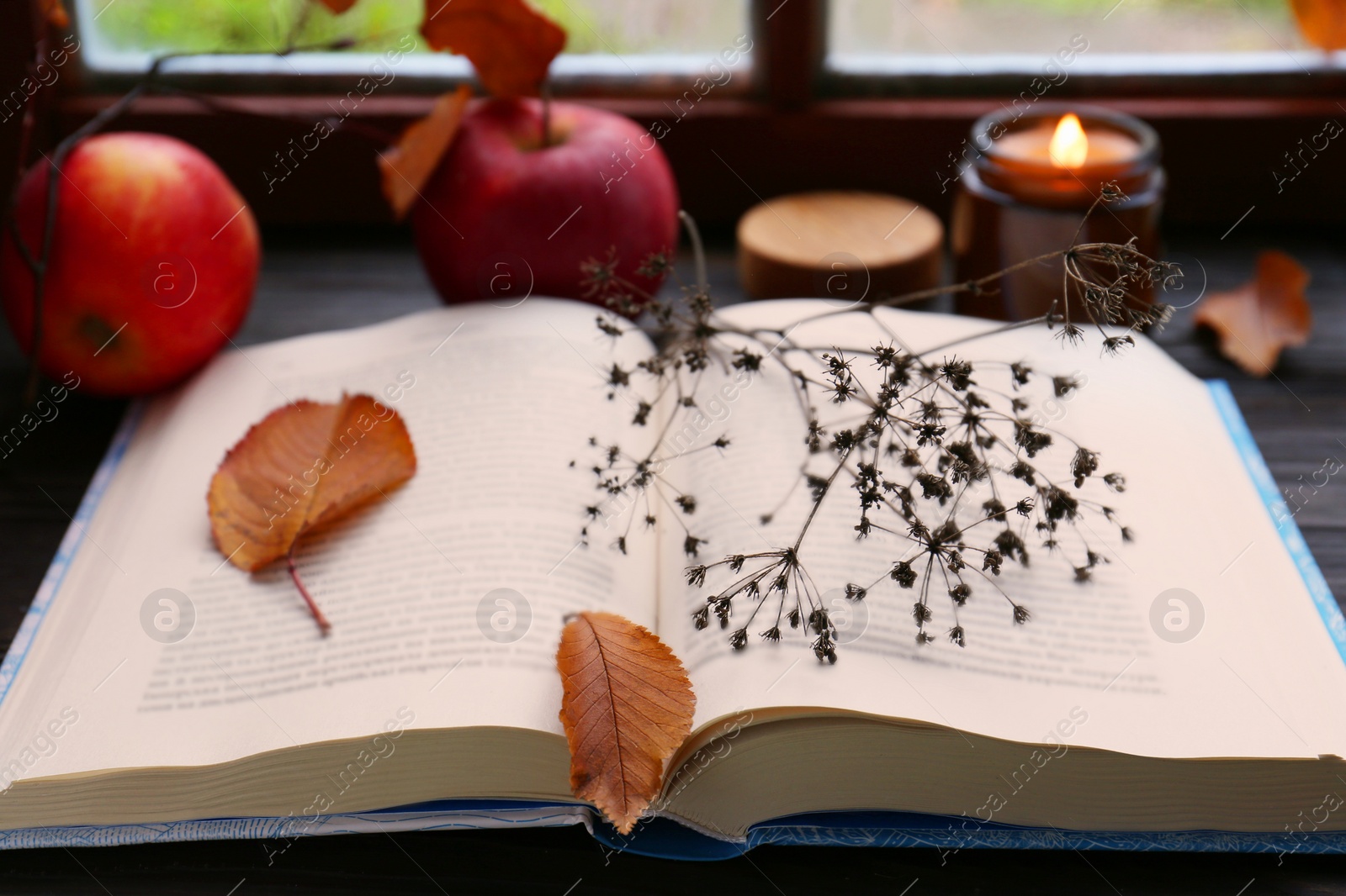 Photo of Book with dried flower, leaves as bookmark and ripe apples on table near window