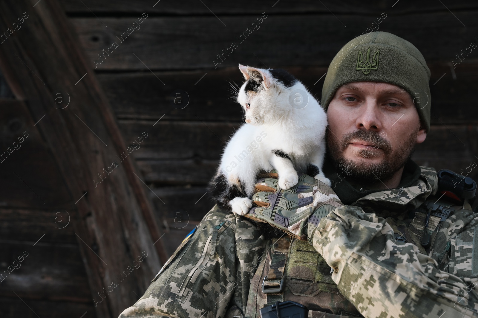 Photo of Ukrainian soldier rescuing animal. Little stray cat on man's shoulder, closeup. Space for text