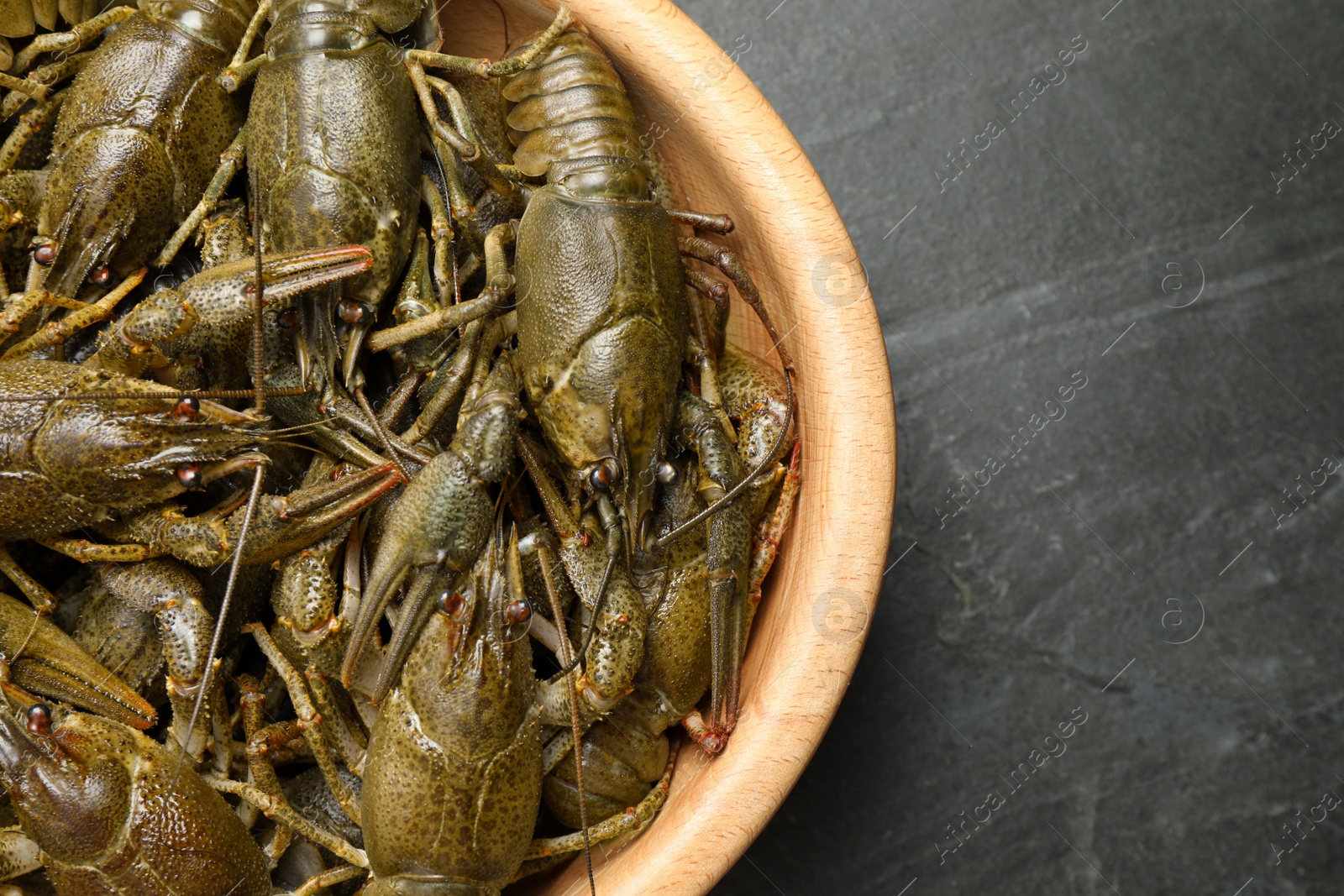 Photo of Fresh raw crayfishes on black table, top view