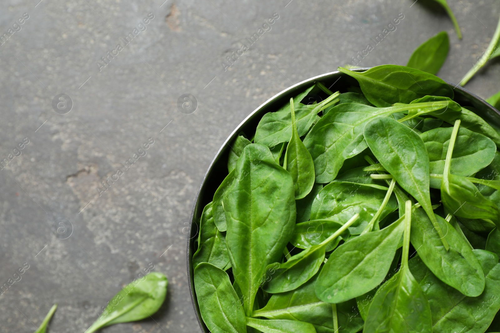 Photo of Fresh green healthy spinach on grey table, top view. Space for text