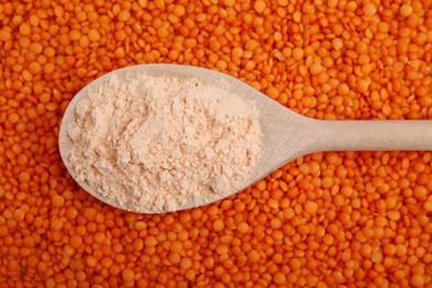 Spoon of lentil flour on seeds, closeup